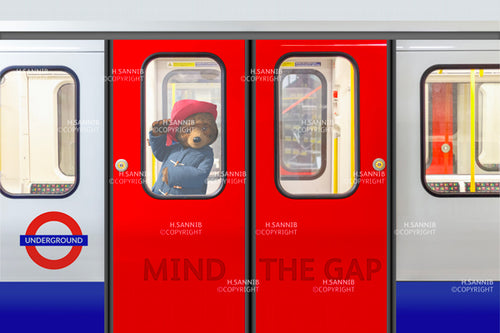 Mind The Gap